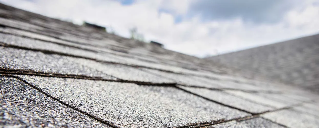 Replacement Roof