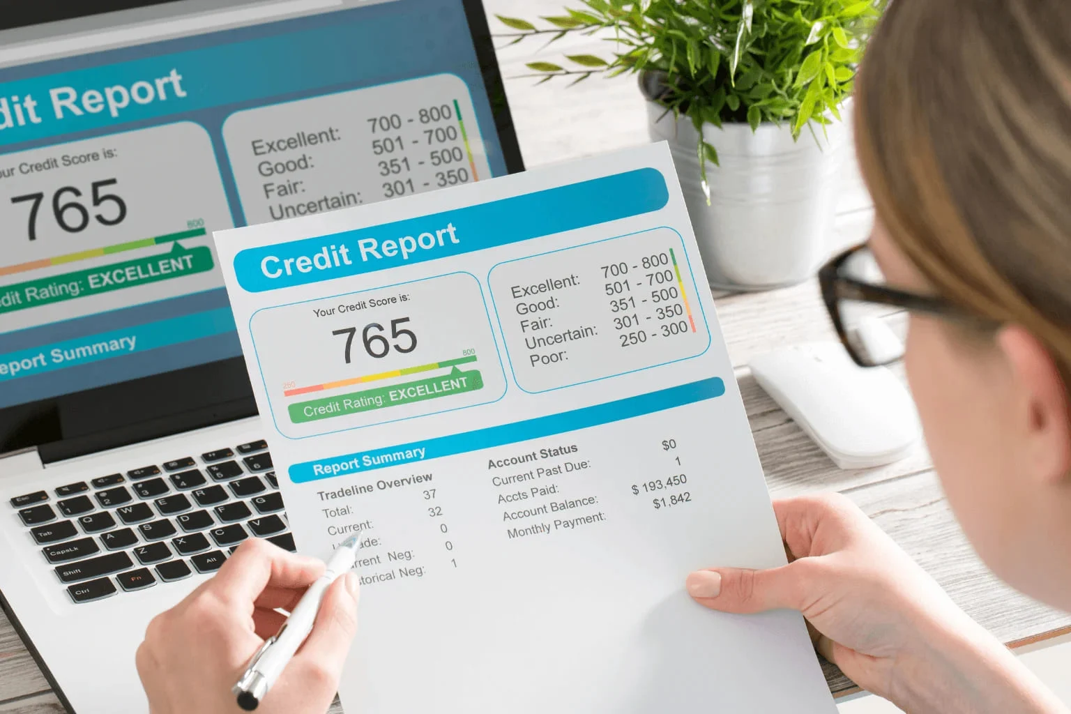 Person checking their credit report on a laptop