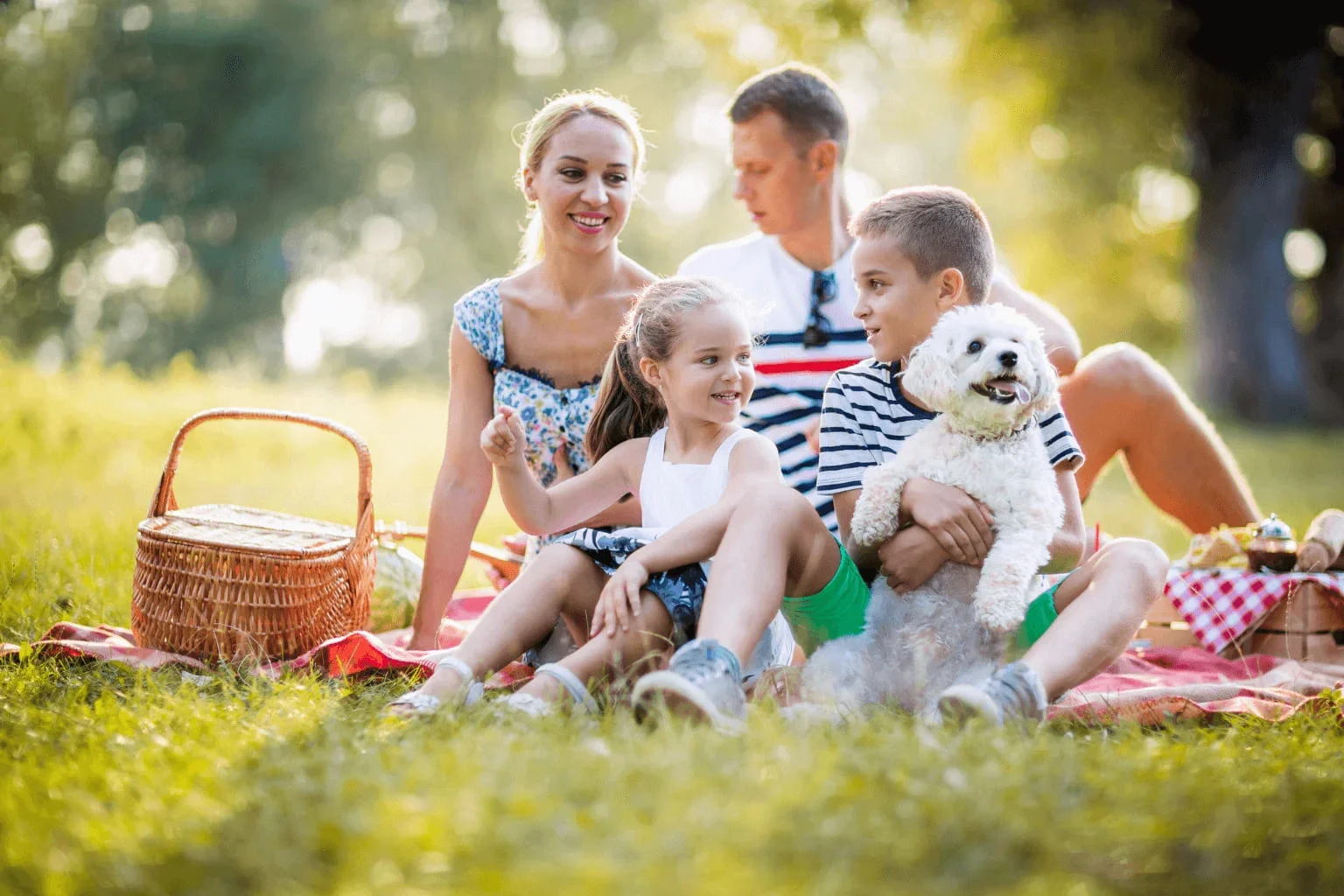 Family having a picnic with a dog nearby